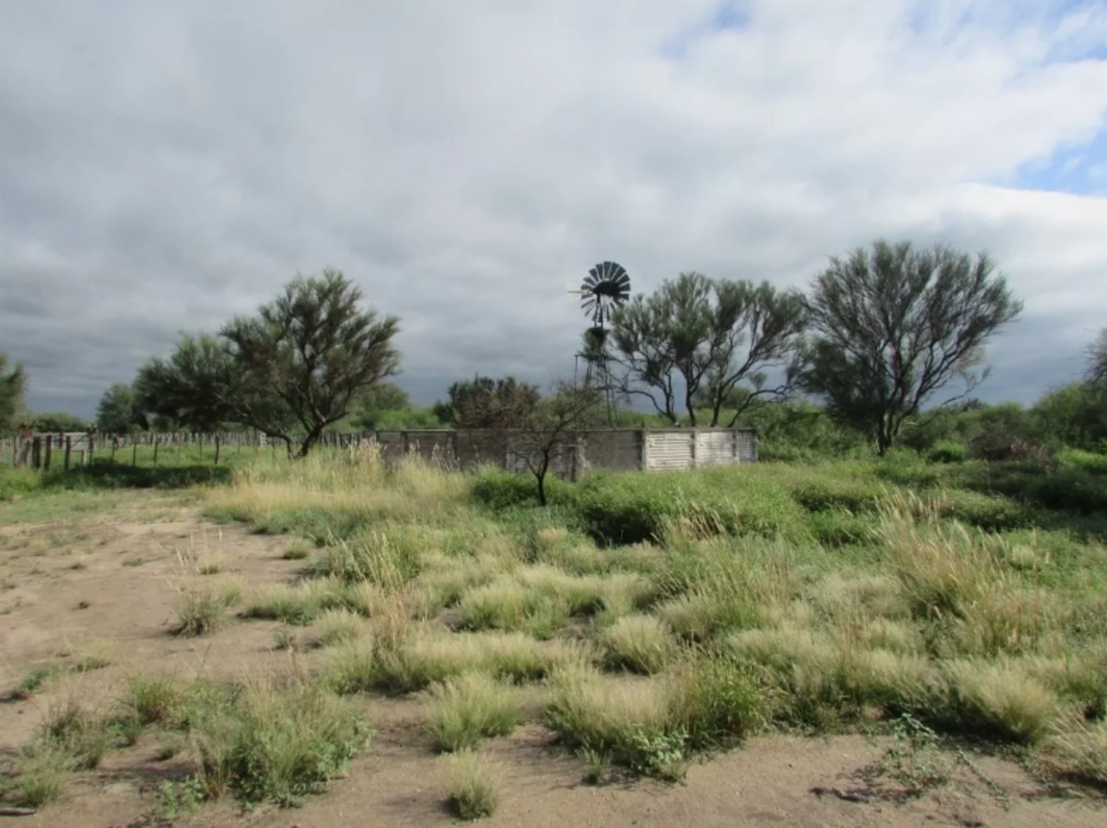 CAMPO EN VENTA, SERREZUELA, CÓRDOBA — foto 3