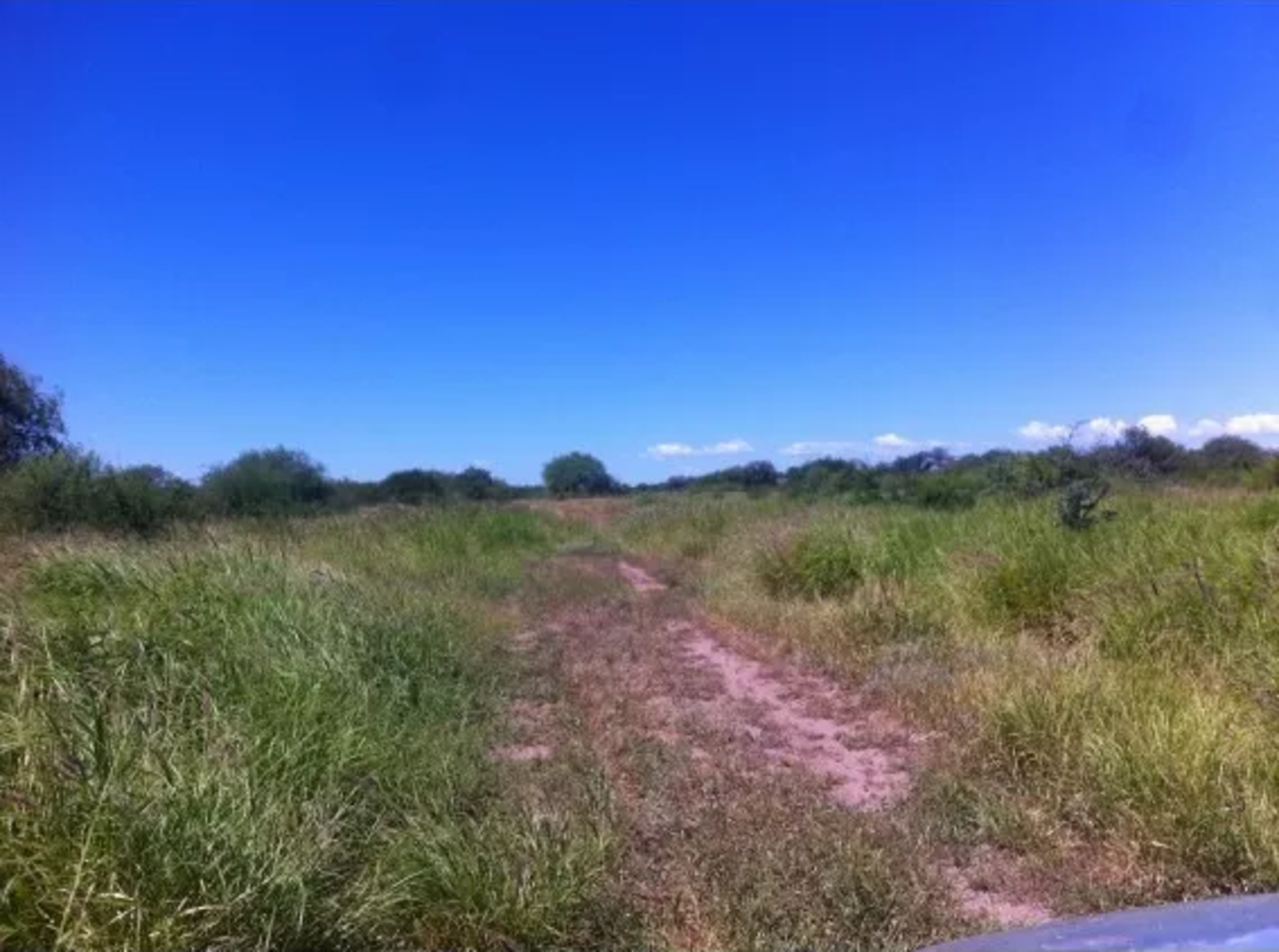 CAMPO EN VENTA, SERREZUELA, CÓRDOBA — foto 4