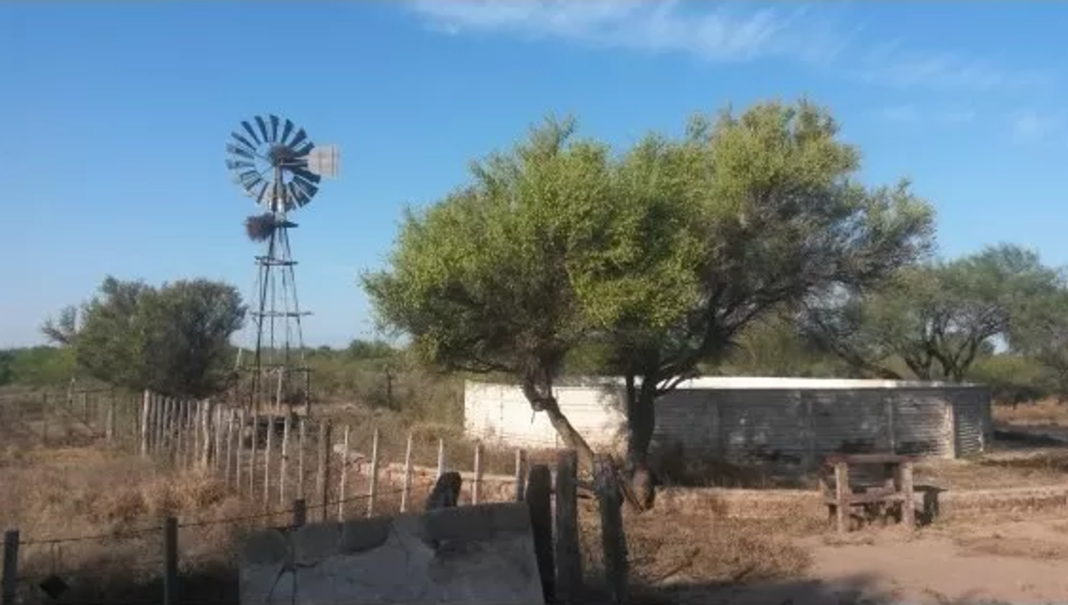 CAMPO EN VENTA, SERREZUELA, CÓRDOBA — foto 5