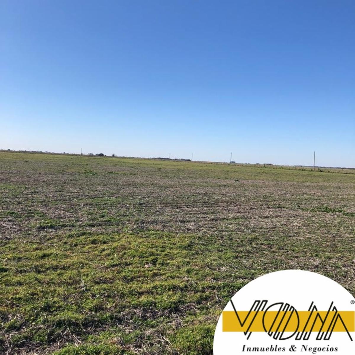 CAMPO EN VENTA, POZO DEL MOLLE, CÓRDOBA - 1