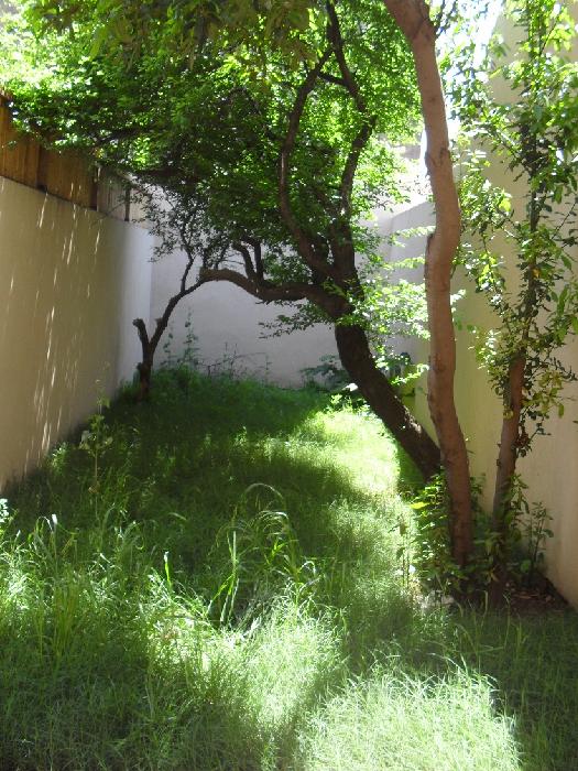 Departamento en Venta en Ramos Mejía, La Matanza, Buenos Aires — foto 6