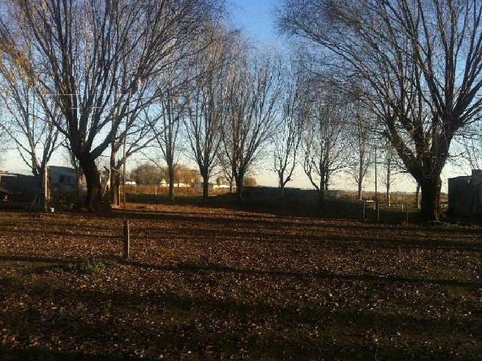 Campo en Venta en Cañuelas, Buenos Aires