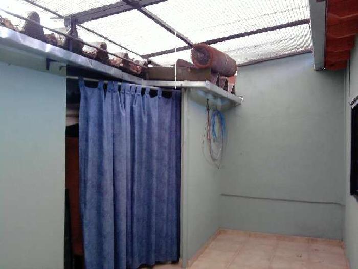 Casa en Venta en Morón, Morón, Buenos Aires — foto 6