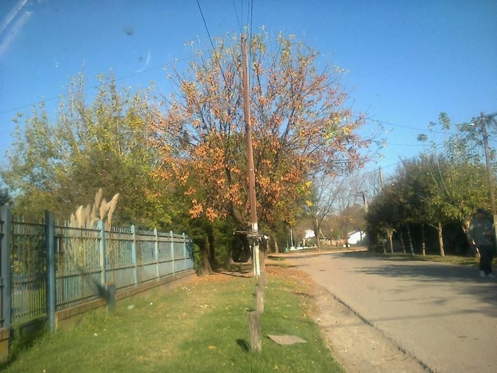 CASA EN 2 PLANTAS - SOBRE AMPLIO LOTE DE 22 X 55 - TODO PARQUIZADO — foto 5