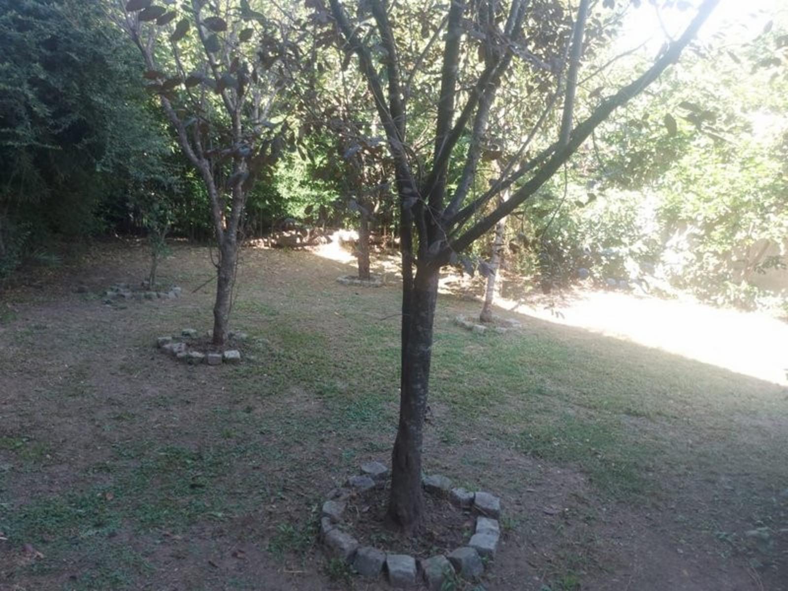 Excelente Propiedad Benavidez Av. Juan D. Perón - 5 Dúplex para alquiler (alquilados en este momento) - en 2 Plantas - excelente ubicación - fácil acceso — foto 5