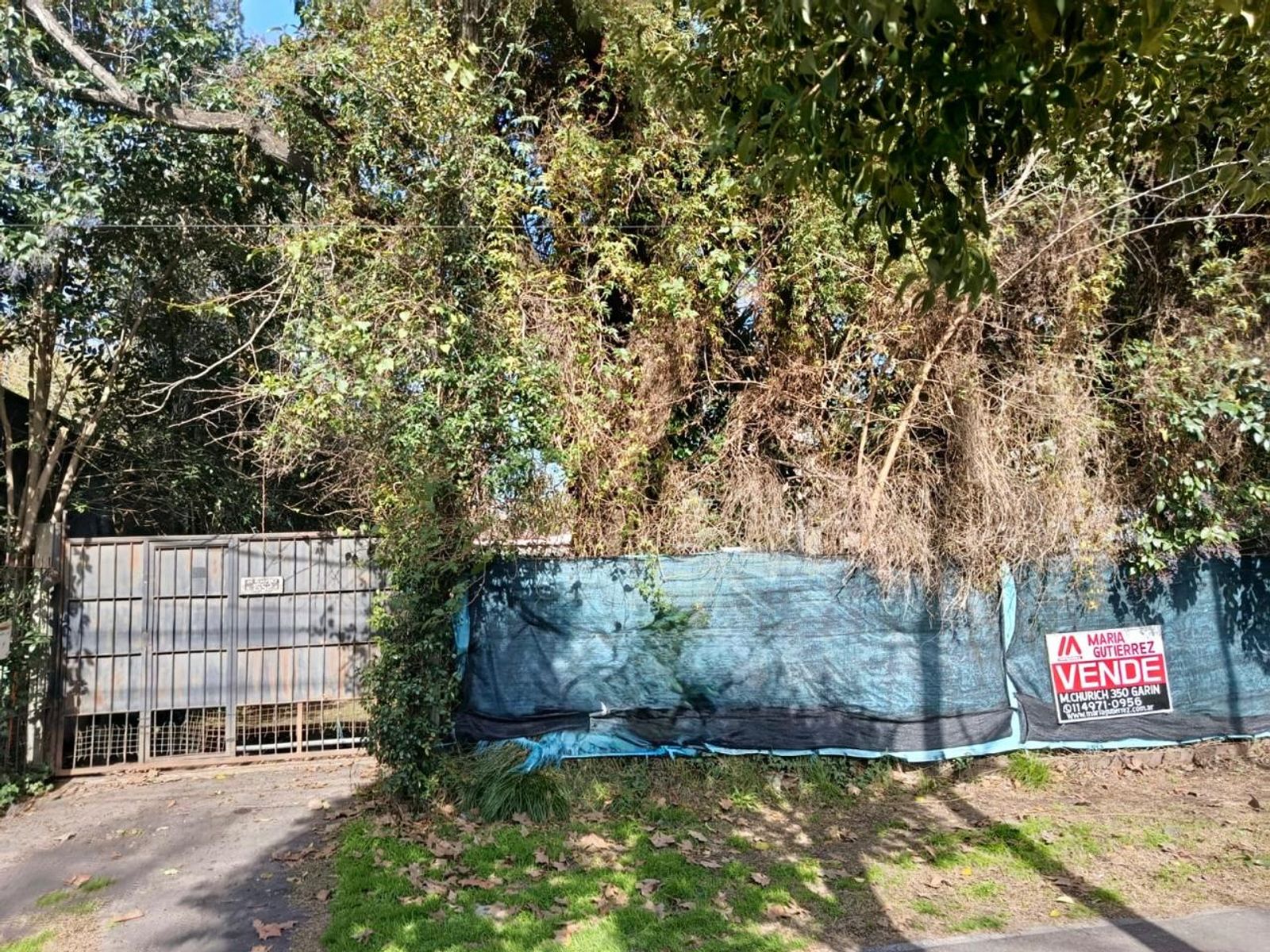 Importante propiedad con amplio terrenos - sobre Av. Benavidez. - 4