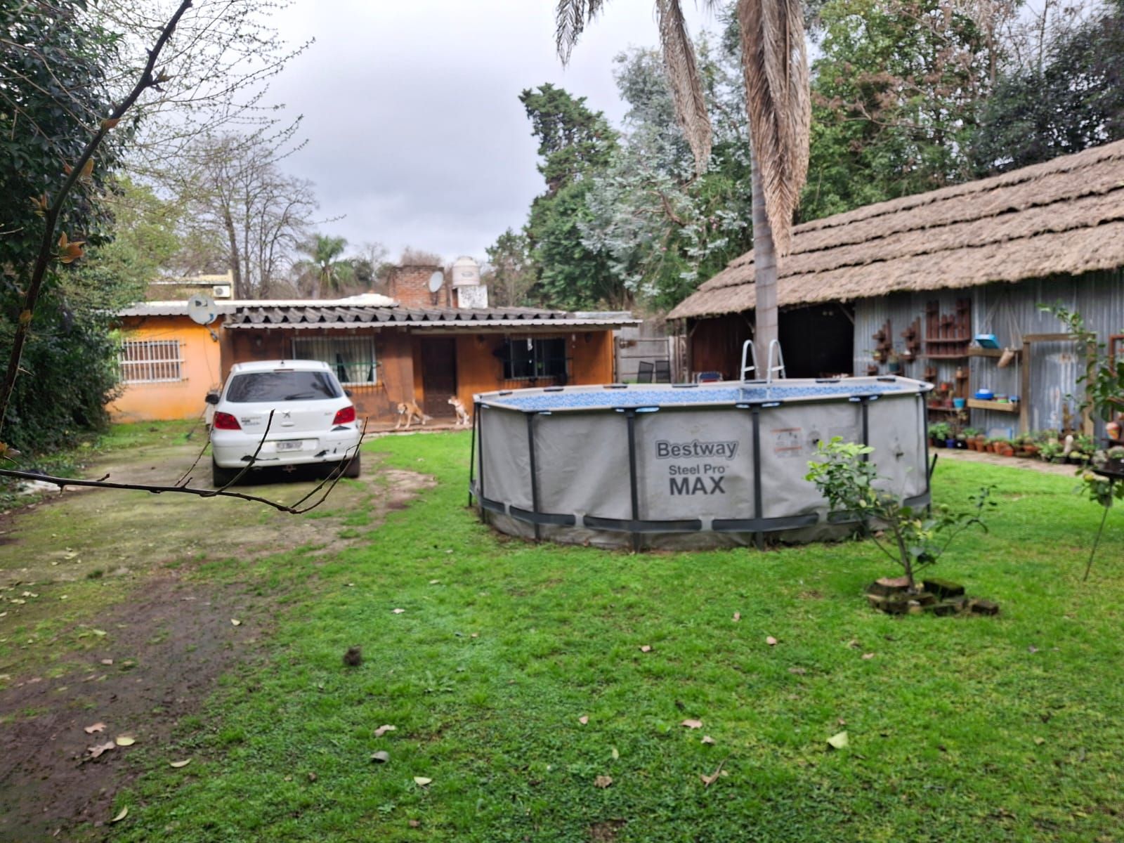 Importante propiedad con amplio terrenos - sobre Av. Benavidez. - 6