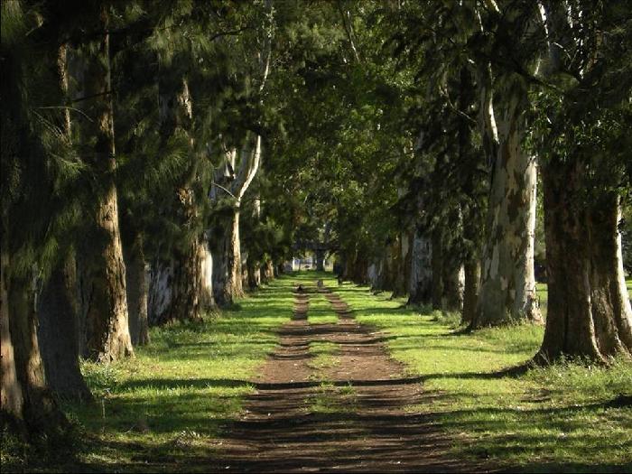 Campo en Venta en Pilar, Pilar, Buenos Aires