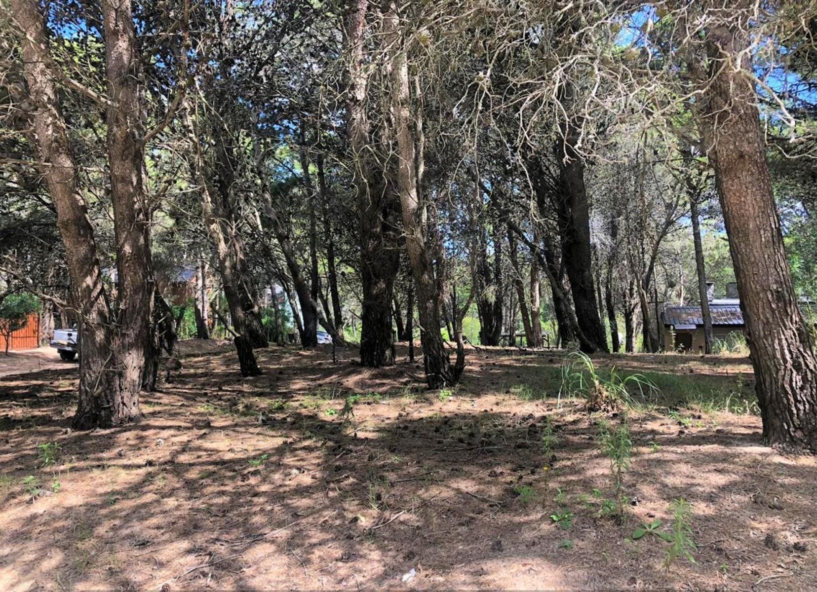 Lote en esquina Mar Azul - 800 mtrs de la playa — foto 2