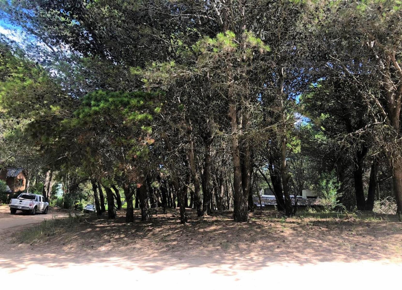 Lote en esquina Mar Azul - 800 mtrs de la playa — foto 3