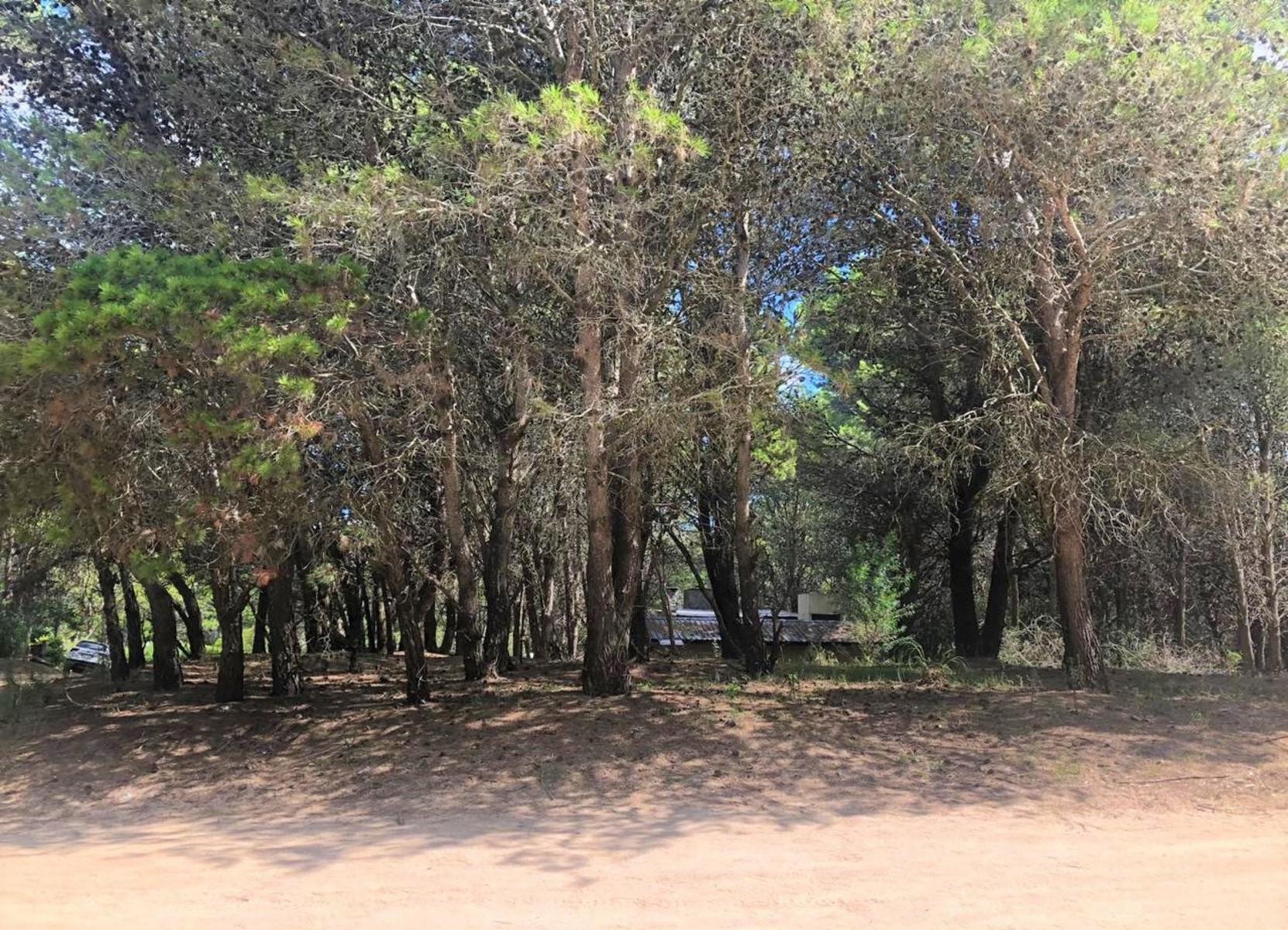 Lote en esquina Mar Azul - 800 mtrs de la playa — foto 4