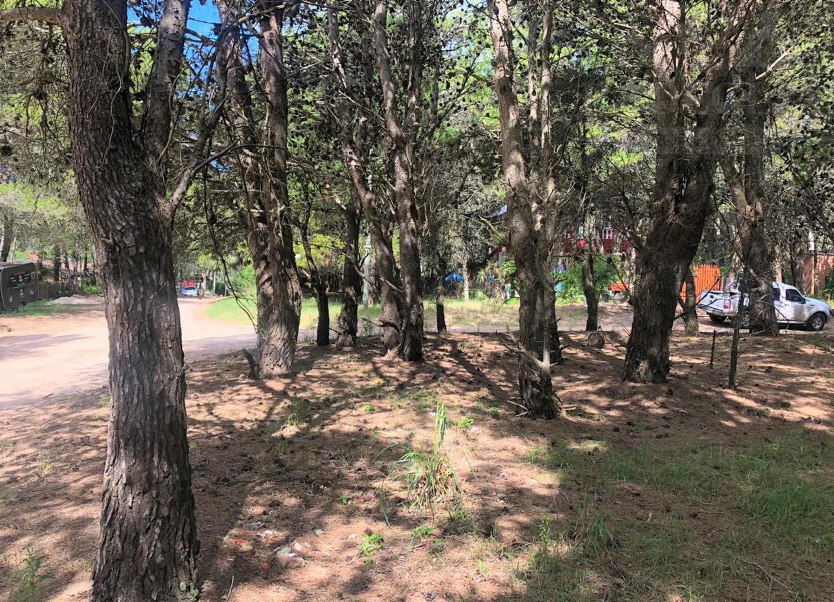 Lote en esquina Mar Azul - 800 mtrs de la playa — foto 5