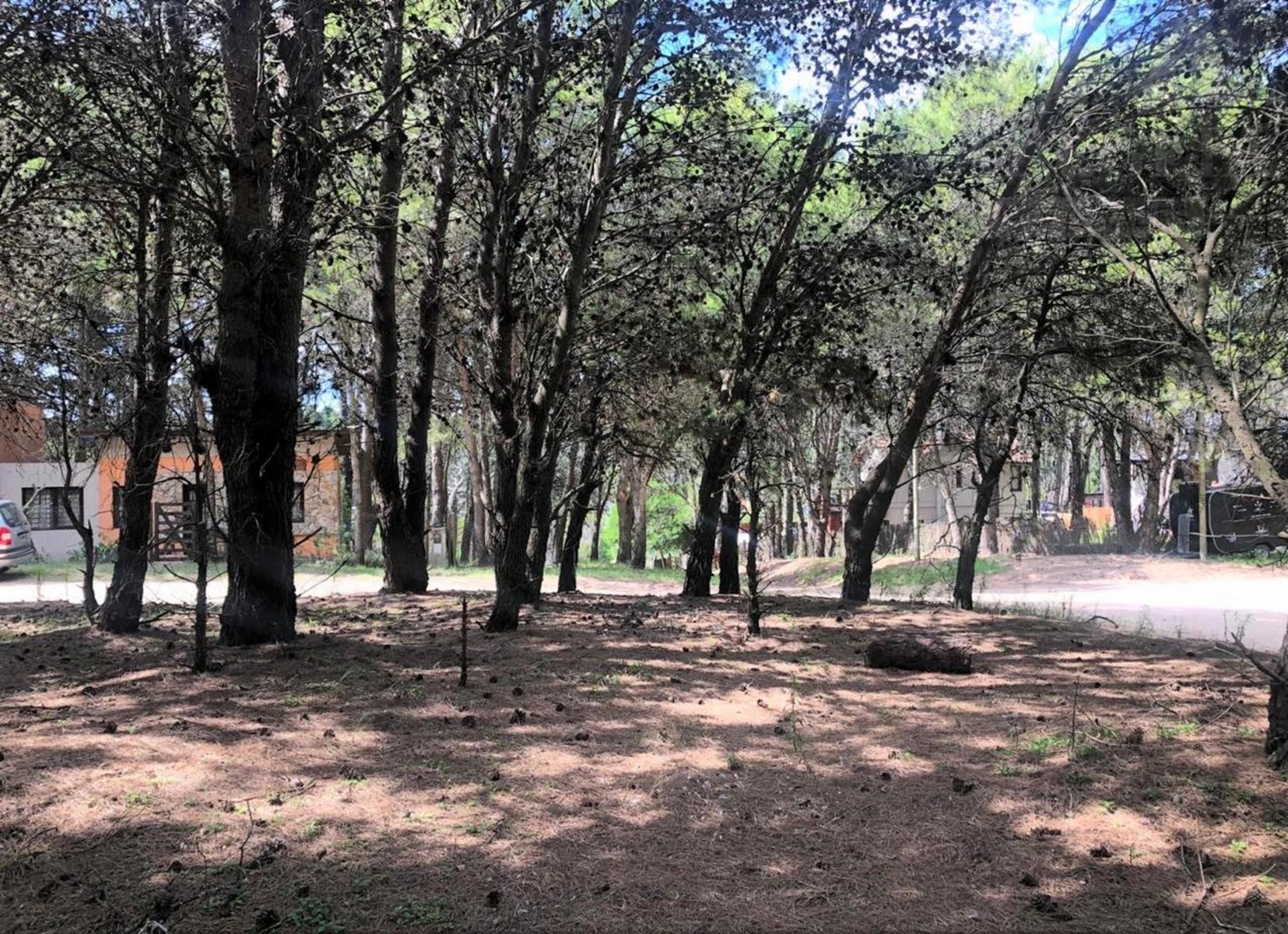 Lote en esquina Mar Azul - 800 mtrs de la playa — foto 7