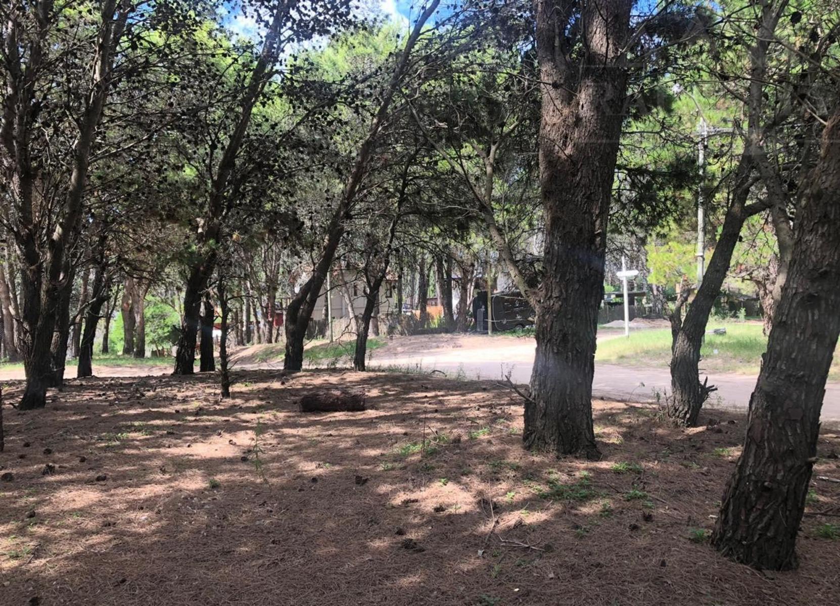 Lote en esquina Mar Azul - 800 mtrs de la playa — foto 8