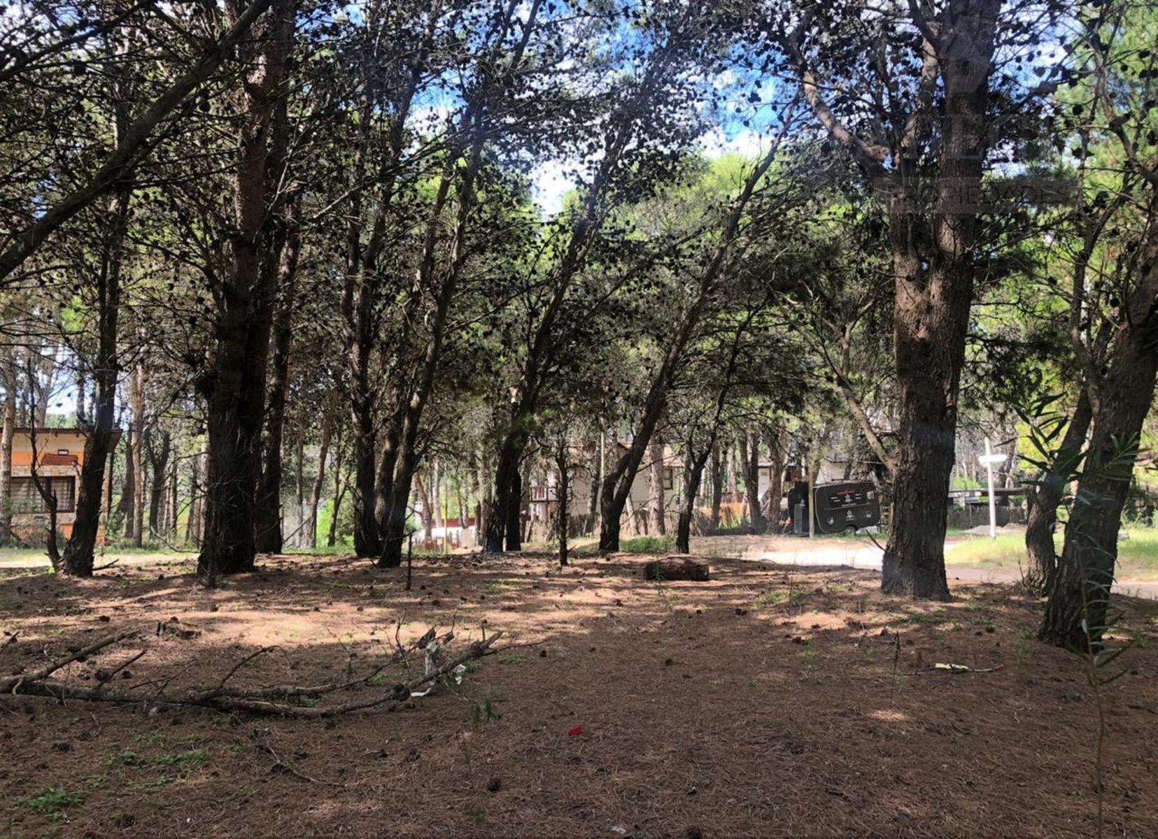 Lote en esquina Mar Azul - 800 mtrs de la playa — foto 9