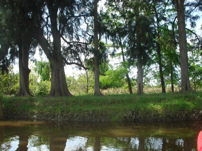 Isla en Venta en Belén de Escobar, Escobar, Buenos Aires - 2