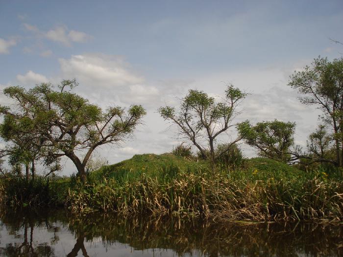 Isla en Venta en Belén de Escobar, Escobar, Buenos Aires - 4