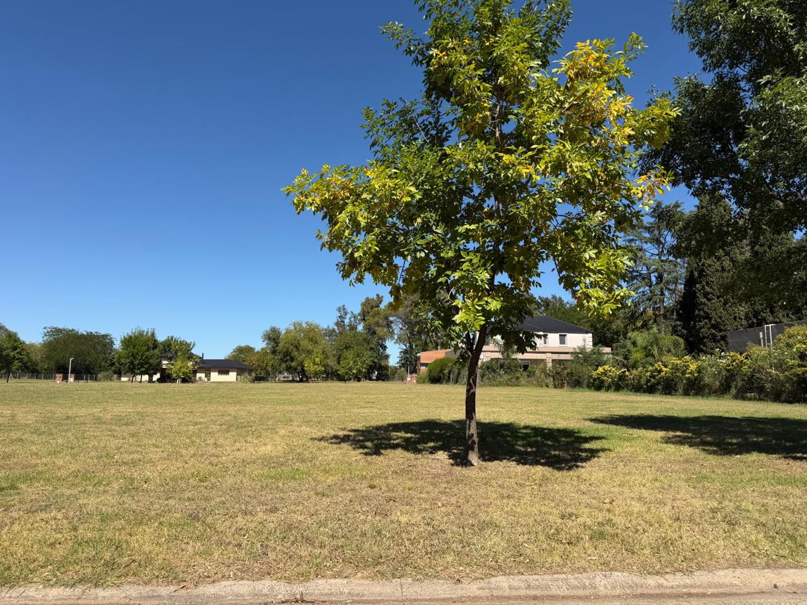 LOTE N° 63 - BARRIO MONET - 5