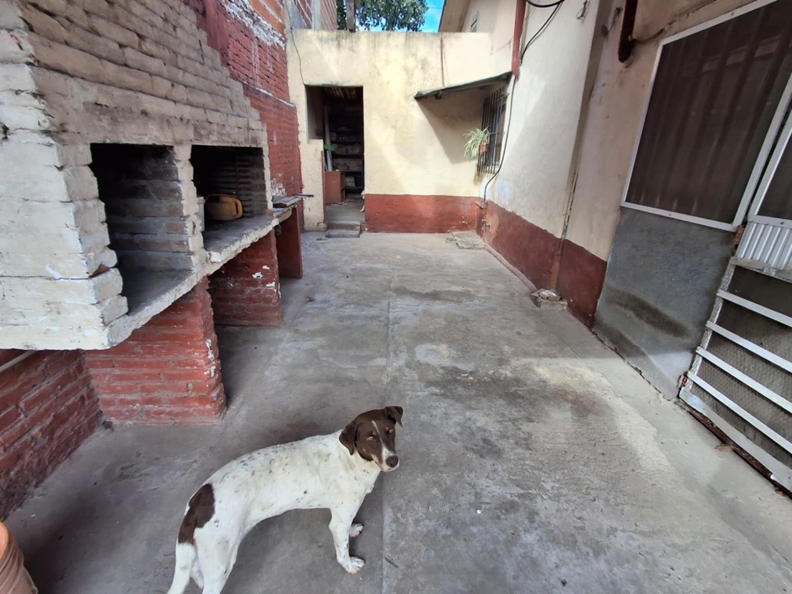 OPORTUNIDAD CASA 3 AMBIENTES Y GARAGE — foto 15