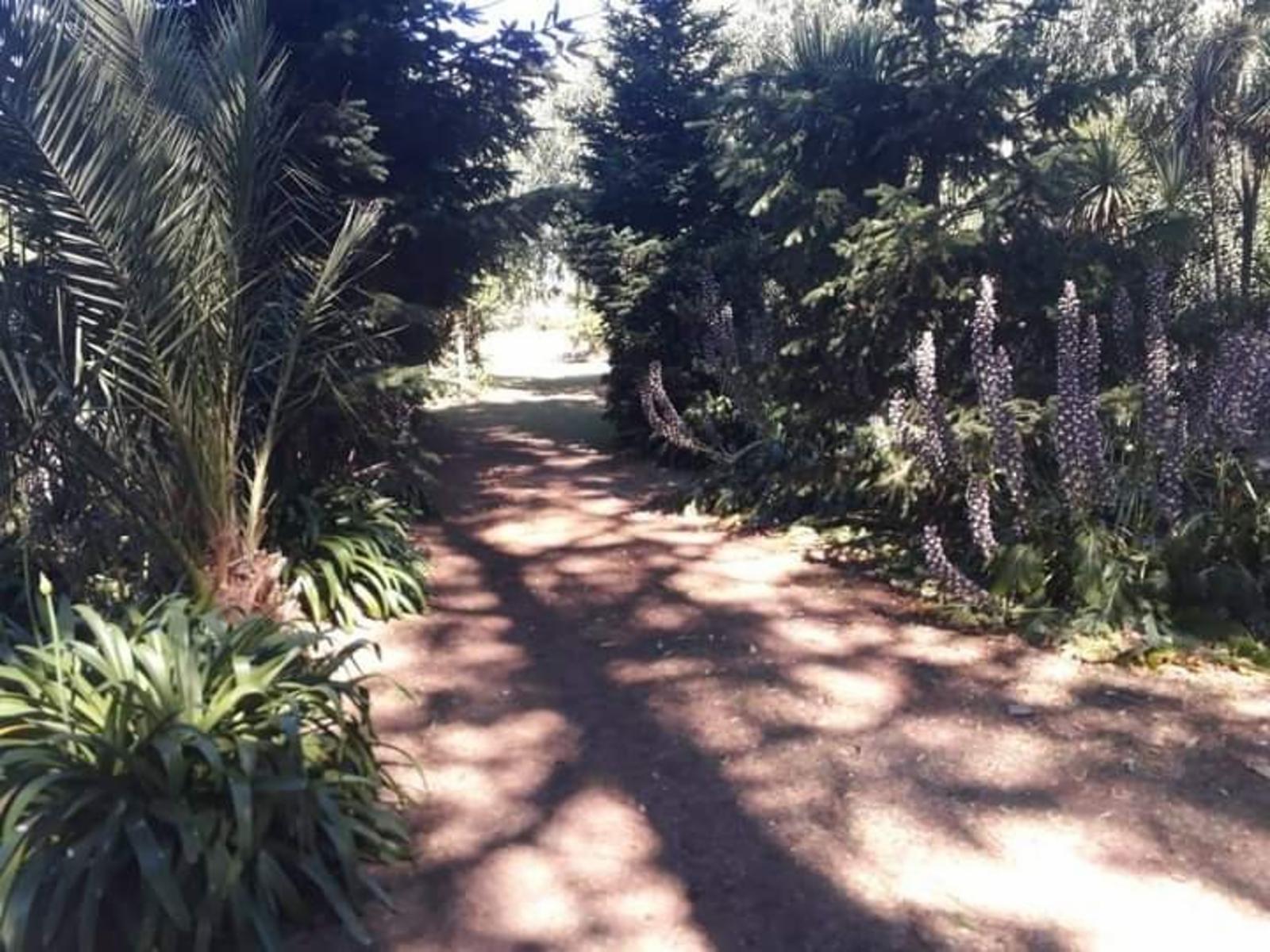 VENTA CASA QUINTA .2 HECTAREAS. COYUNCO.MAR DEL PLATA — foto 14