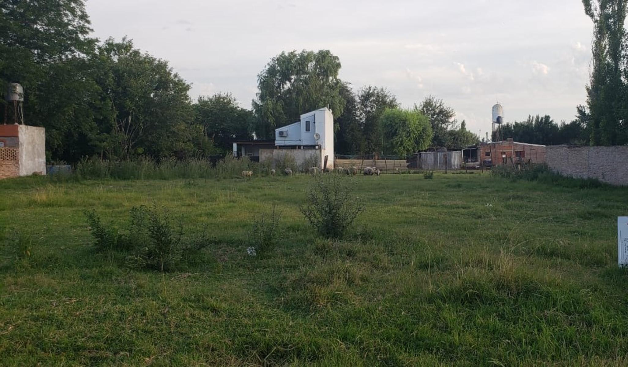 Excepcional lote de 10 x 45 en Villa Amelia