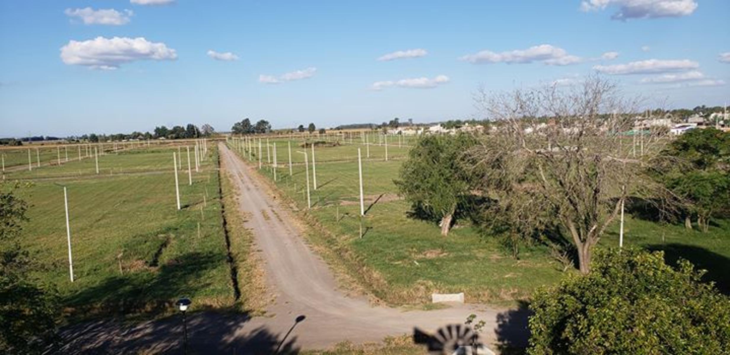 Lotes en Alvear sobre ruta 18 (Ov. Lagos), antes de la Carolina.... POSESIÓN INMEDIATA - LISTO PARA EDIFICAR — foto 2