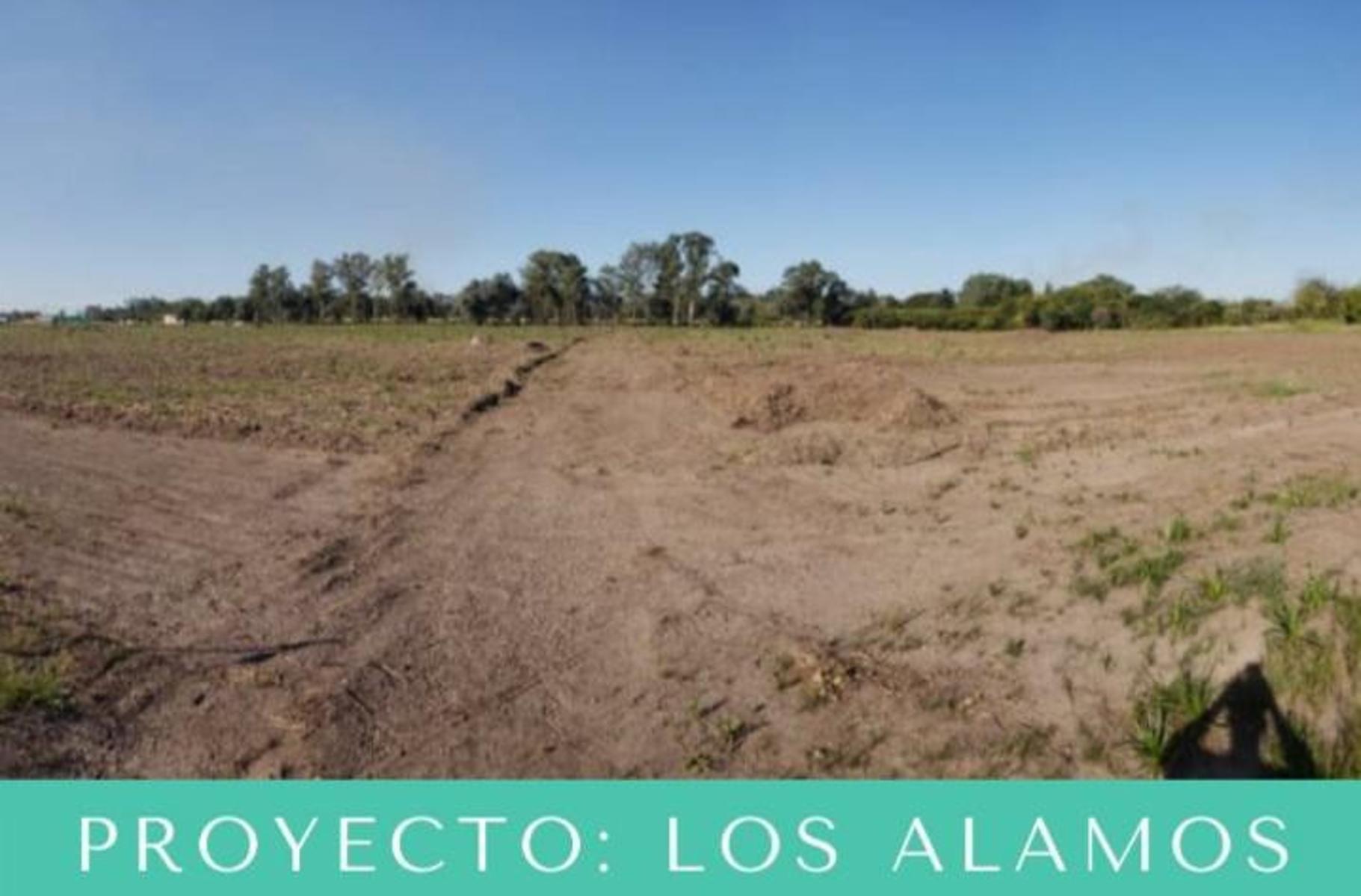 BARRIO CERRADO LOS ALAMOS LANZAMIENTO — foto 2