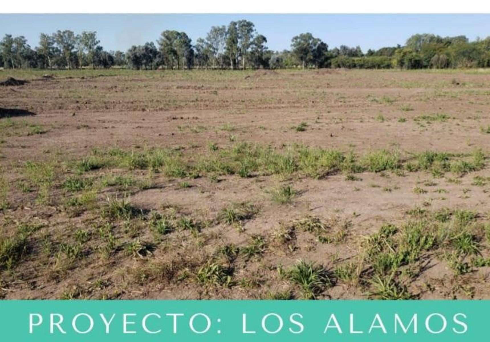 BARRIO CERRADO LOS ALAMOS LANZAMIENTO — foto 3