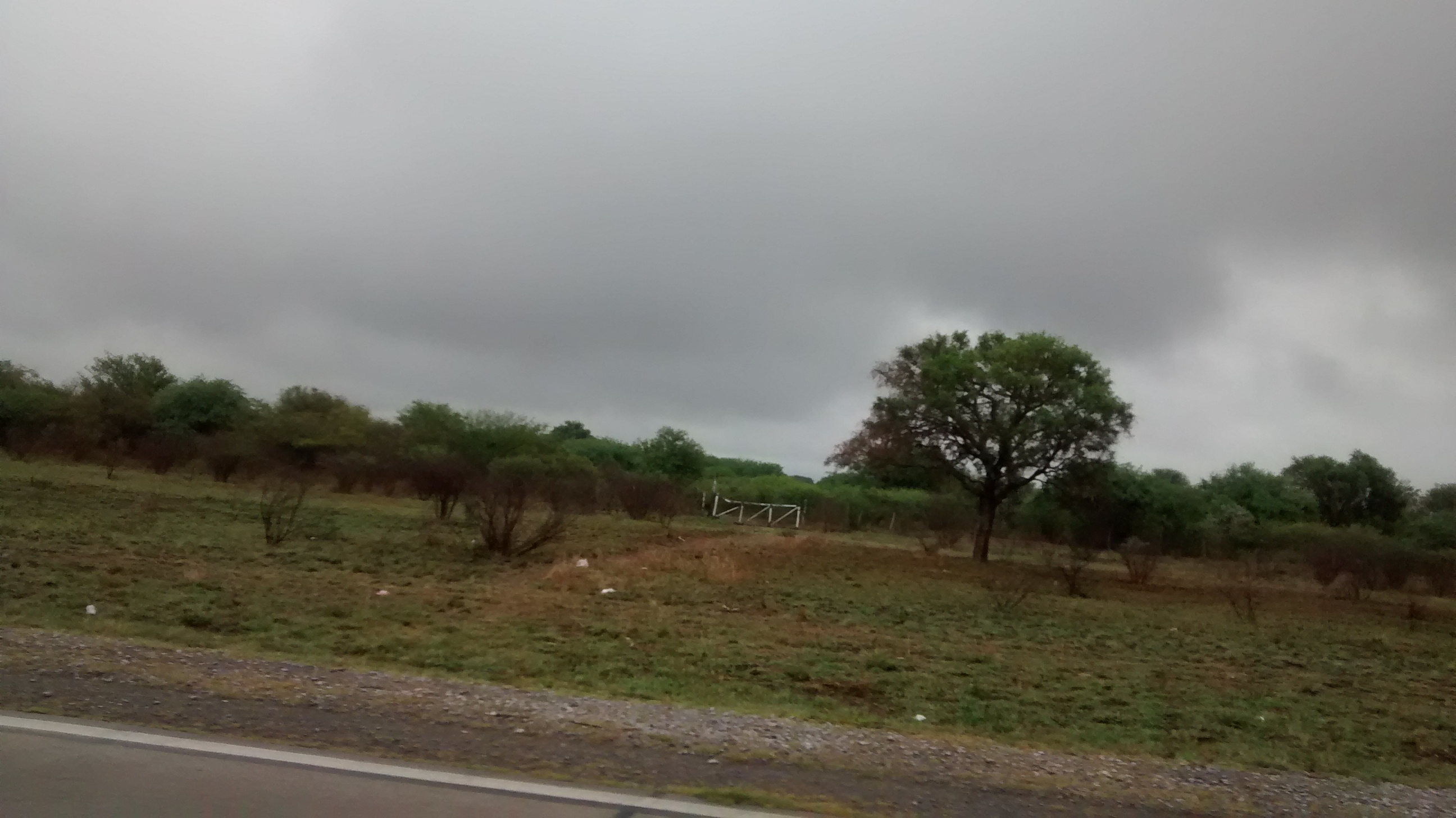 HECTAREAS EN SGO DEL ESTERO/ ACEPTA PROPIEDAD EN PARTE DE PAGO - 3