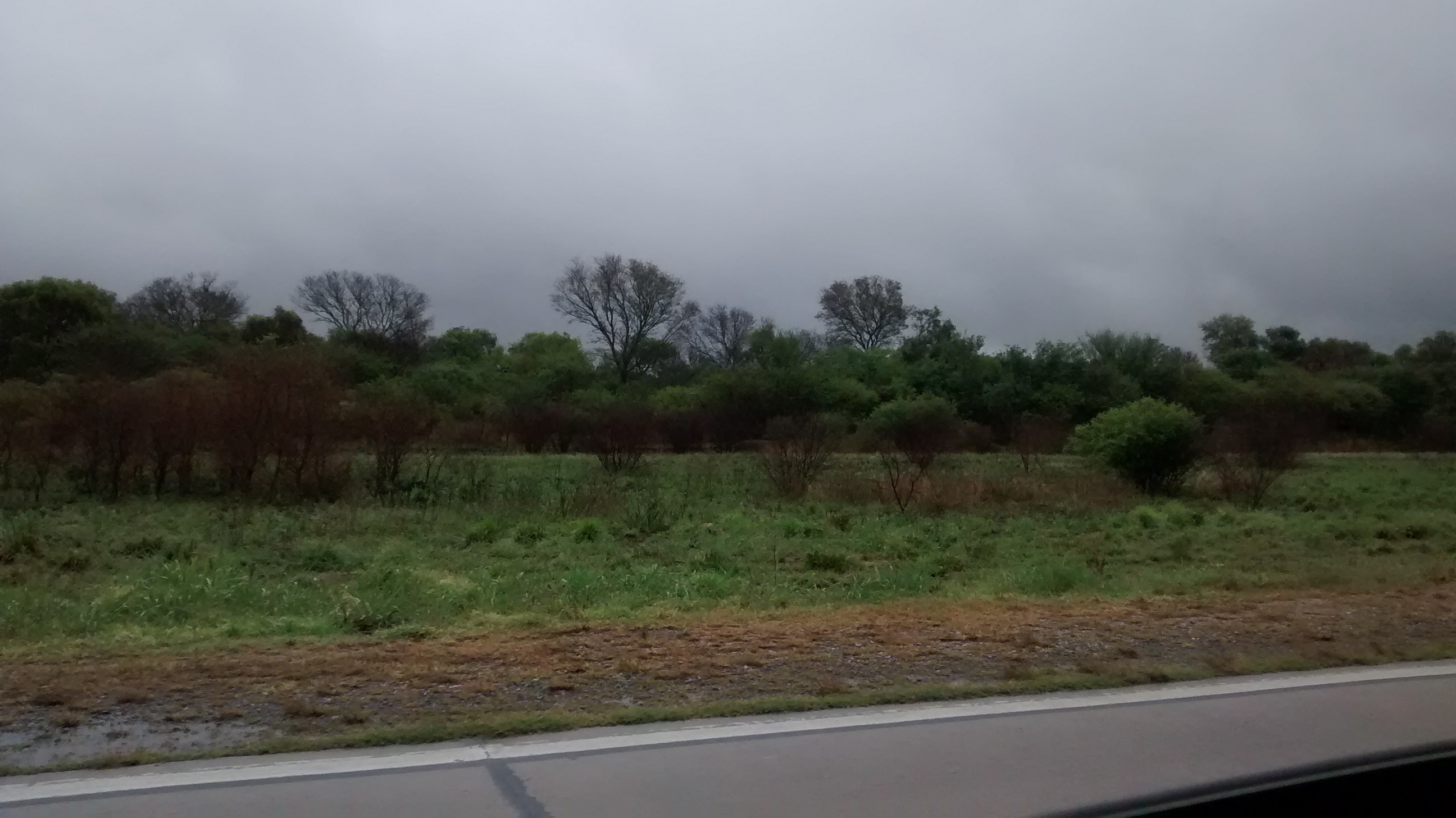 HECTAREAS EN SGO DEL ESTERO/ ACEPTA PROPIEDAD EN PARTE DE PAGO - 2
