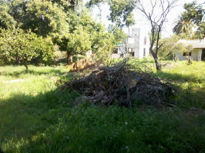 EXCELENTE TERRENO CON 2 EDIFICACIONES. — foto 3
