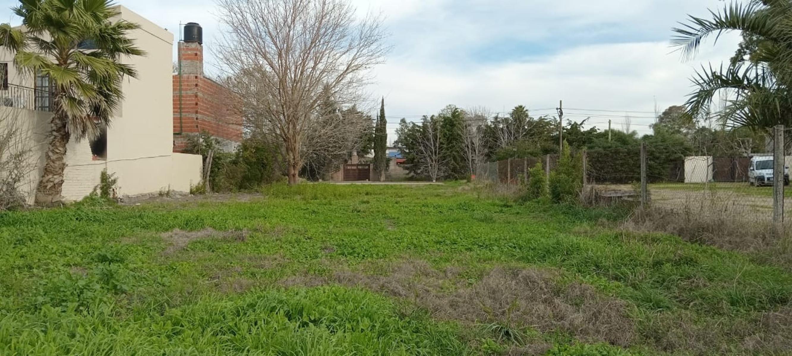 AMPLIO TERRENO EN ROLDAN. CALLE SAN BERNARDO AL 300. BARRIO ALTO VERDE. UBICACIÓN. — foto 3