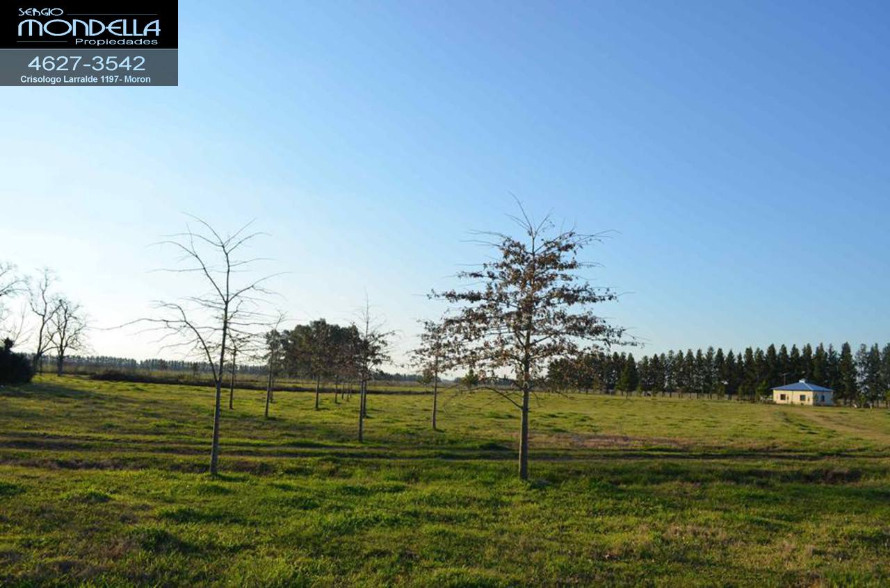 Lotes en Club de Campo en Marcos Paz, — foto 5