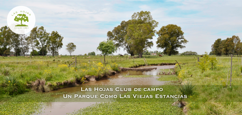 Lotes en Club de Campo en Marcos Paz, — foto 12