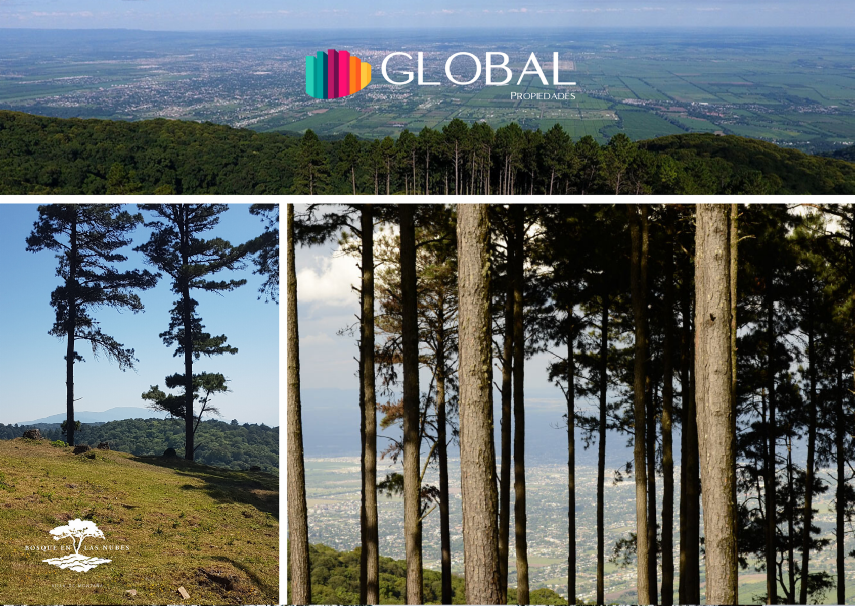 Emplazado en un lugar único, Bosque en las nubes, es un emprendimiento que armoniza la calidad de vida, la naturaleza y el confort. - 2