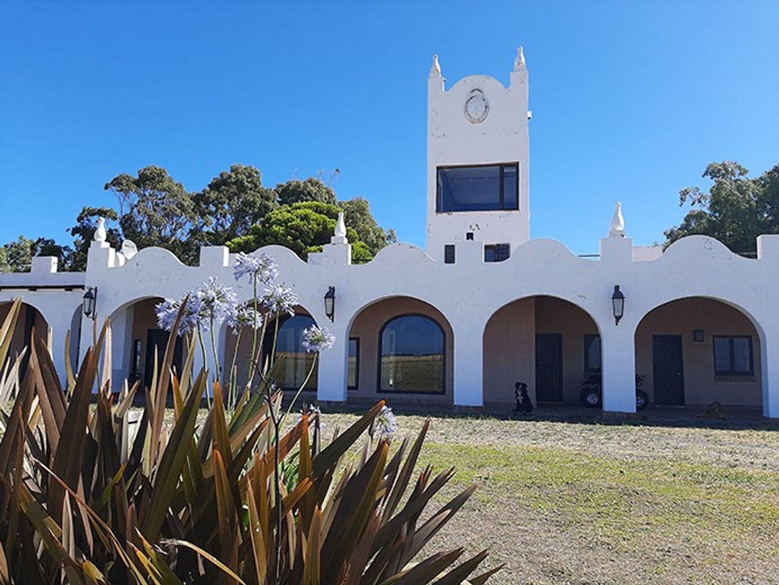 Venta de Estancia Turística y Frigorífico En la Patagonia Norte,Provincia de Buenos Aires - 10