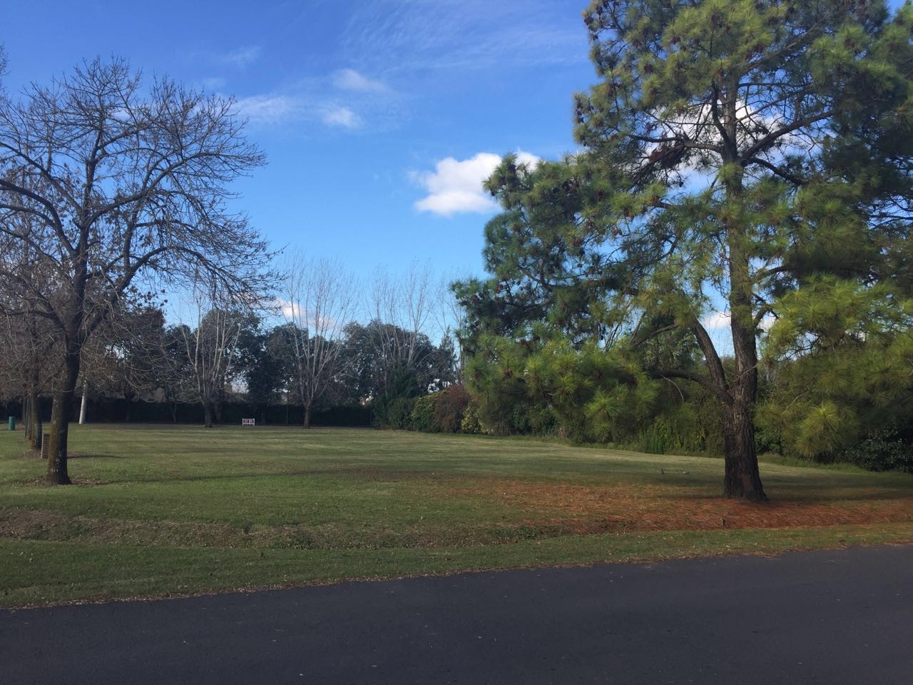 Excelente lote en Mayling Club de Campo — foto 2