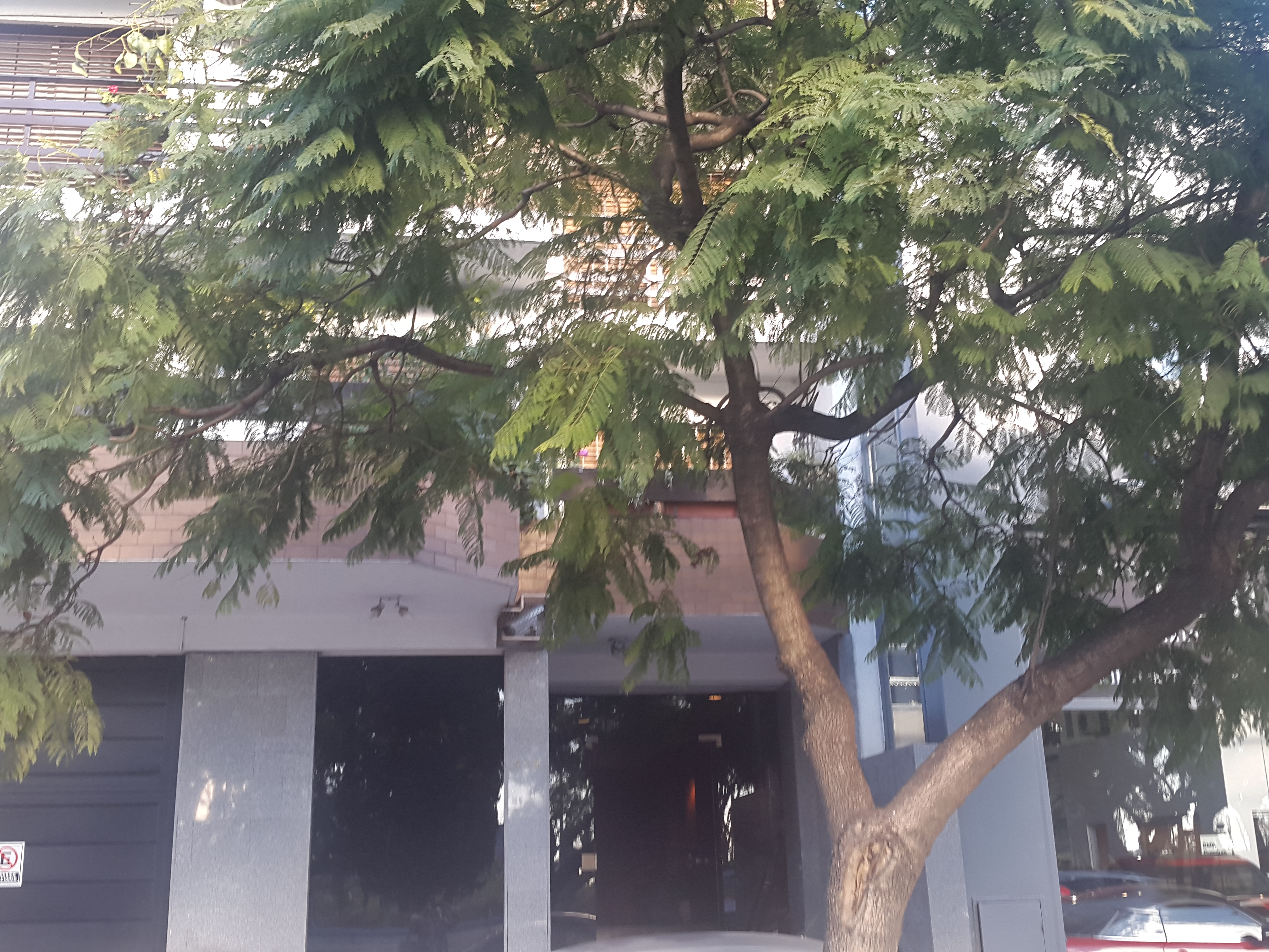 TRIPLEX 5 AMBIENTES VISTA AL RIO. CON TERRAZA Y PARRILLA PROPIA - 15