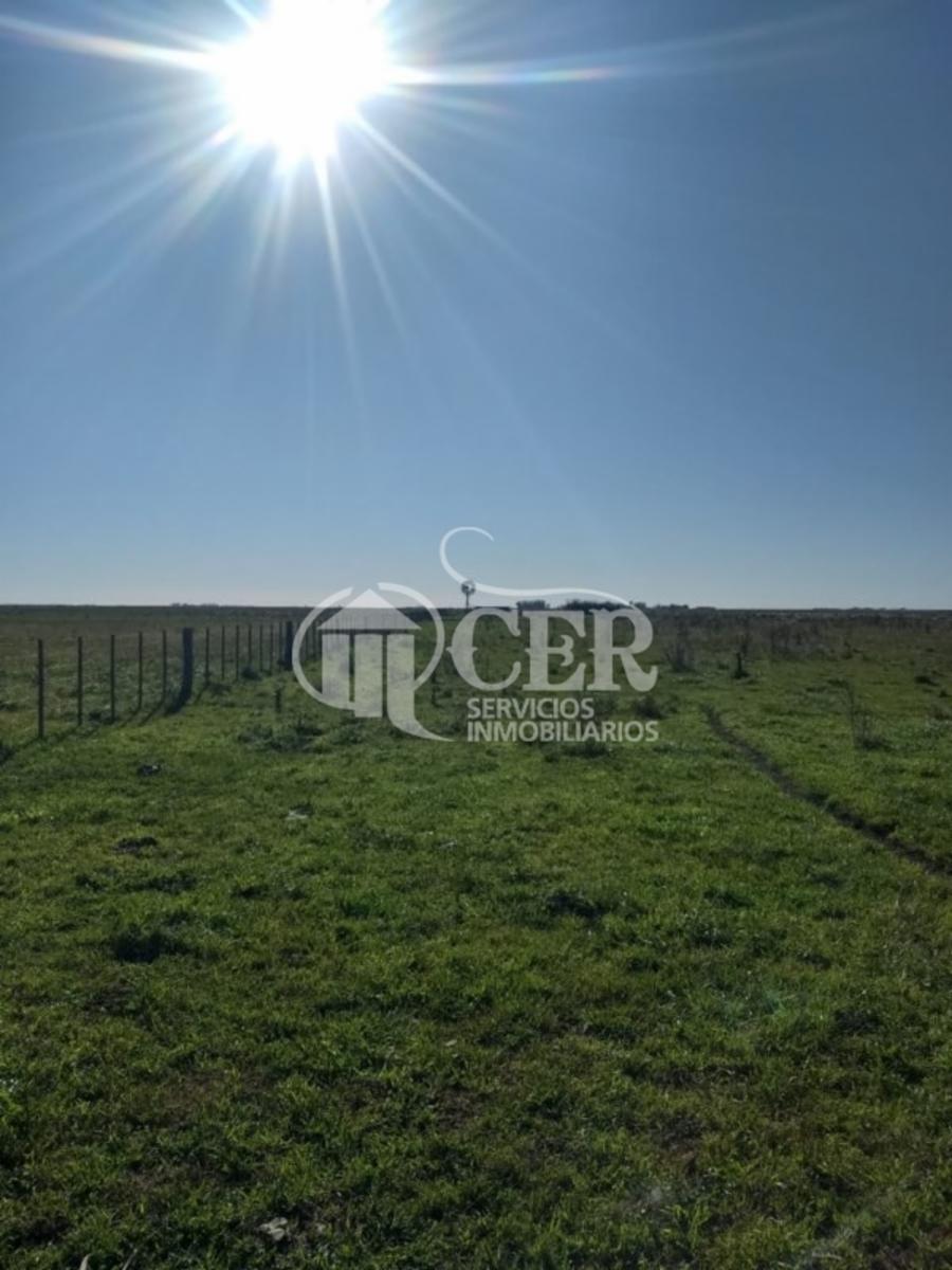 1.000 HECTÁREAS AGRÍCOLA-GANADERO AYA CUCHO - 1