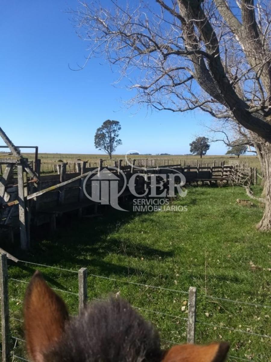 1.000 HECTÁREAS AGRÍCOLA-GANADERO AYA CUCHO - 2