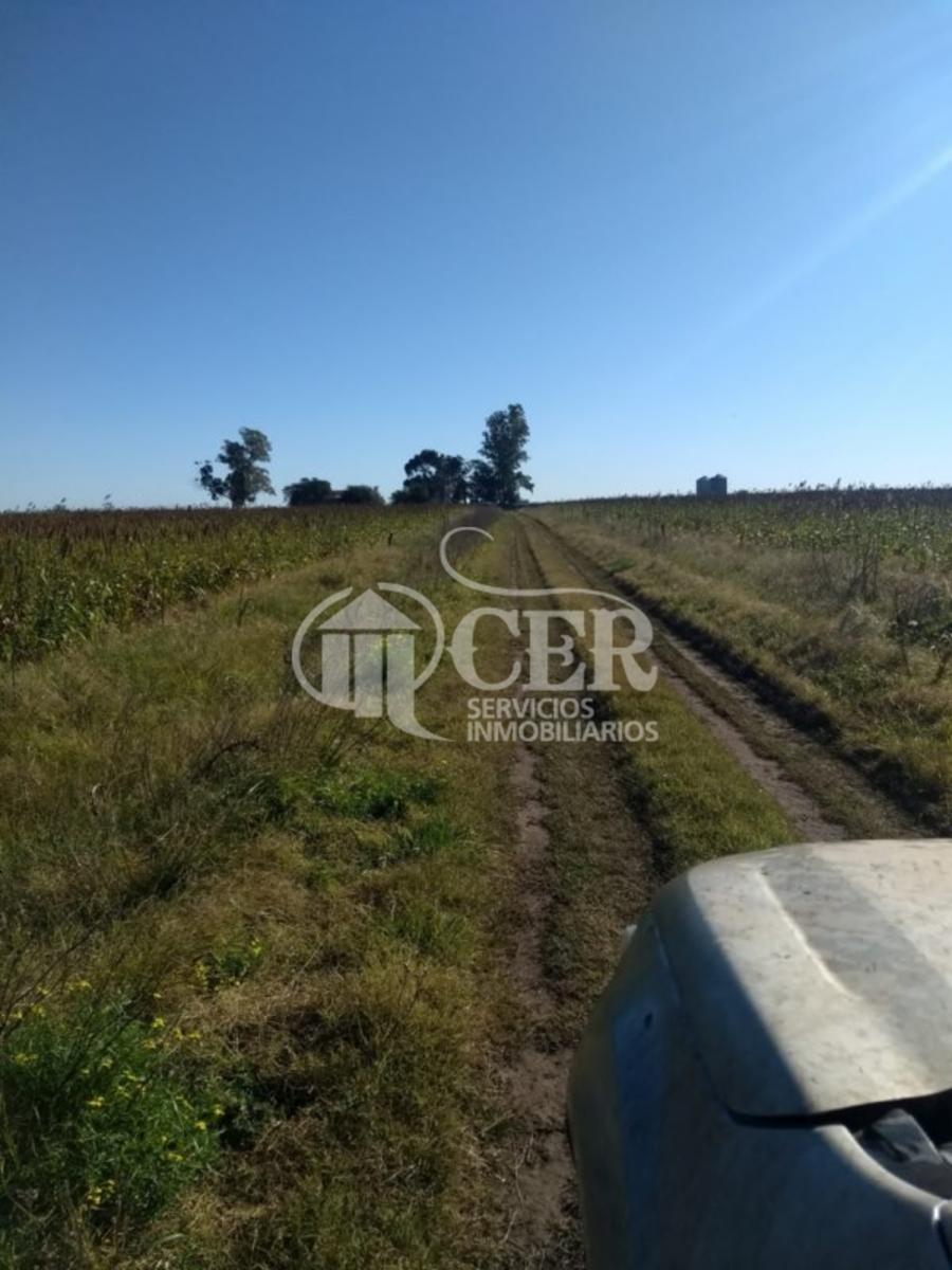 1.000 HECTÁREAS AGRÍCOLA-GANADERO AYA CUCHO - 4