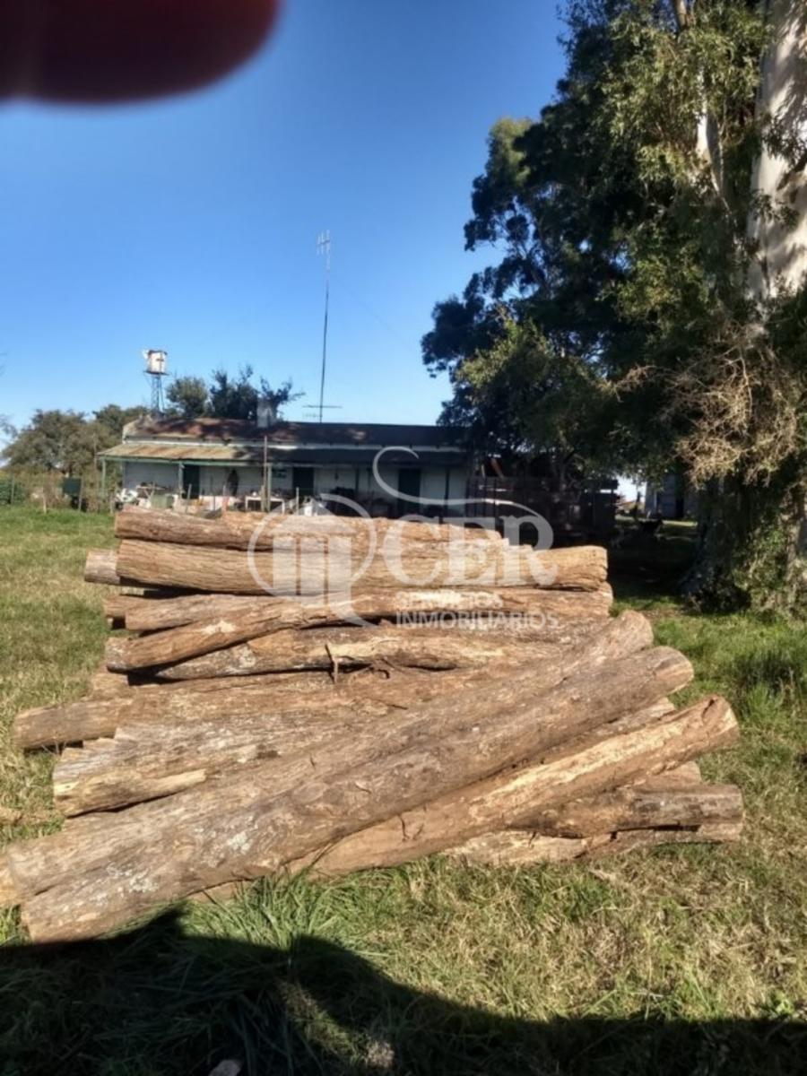 1.000 HECTÁREAS AGRÍCOLA-GANADERO AYA CUCHO - 5