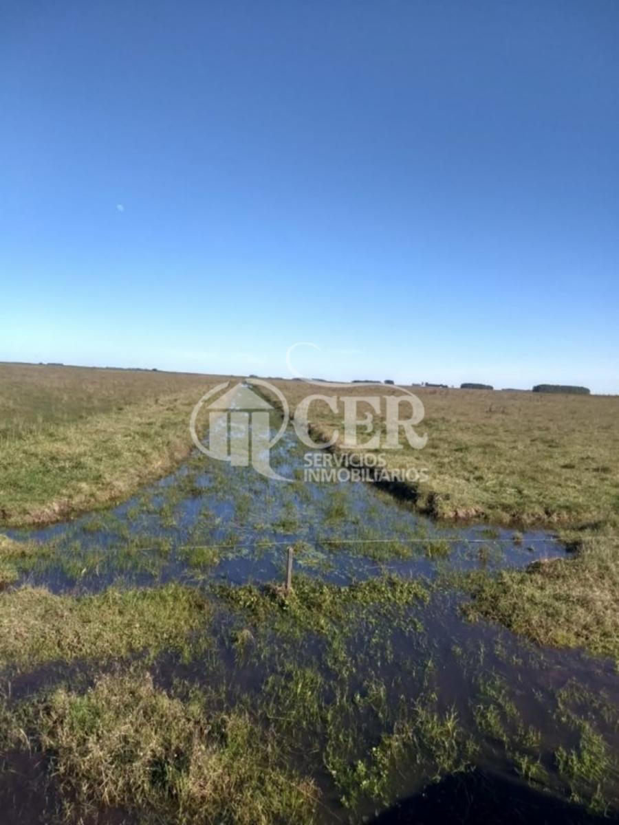 1.000 HECTÁREAS AGRÍCOLA-GANADERO AYA CUCHO - 7