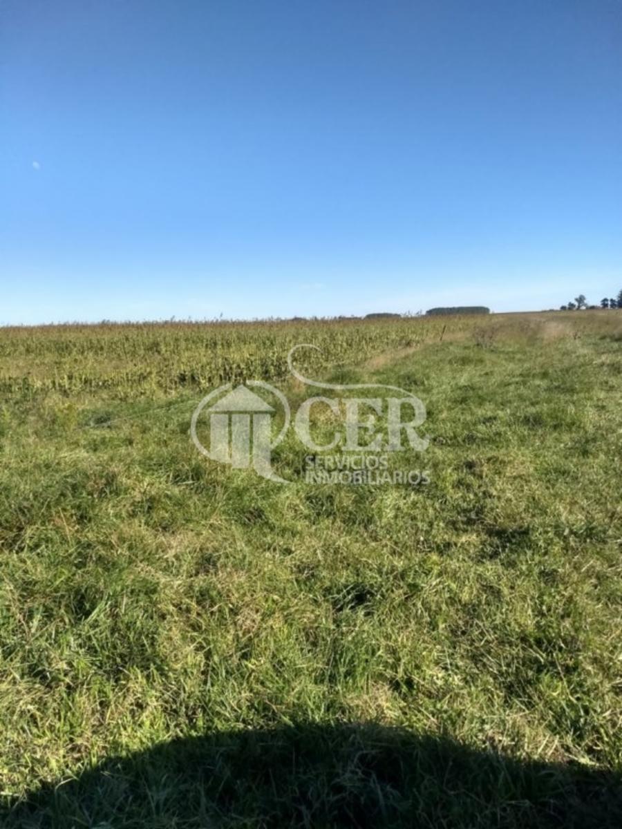 1.000 HECTÁREAS AGRÍCOLA-GANADERO AYA CUCHO - 8