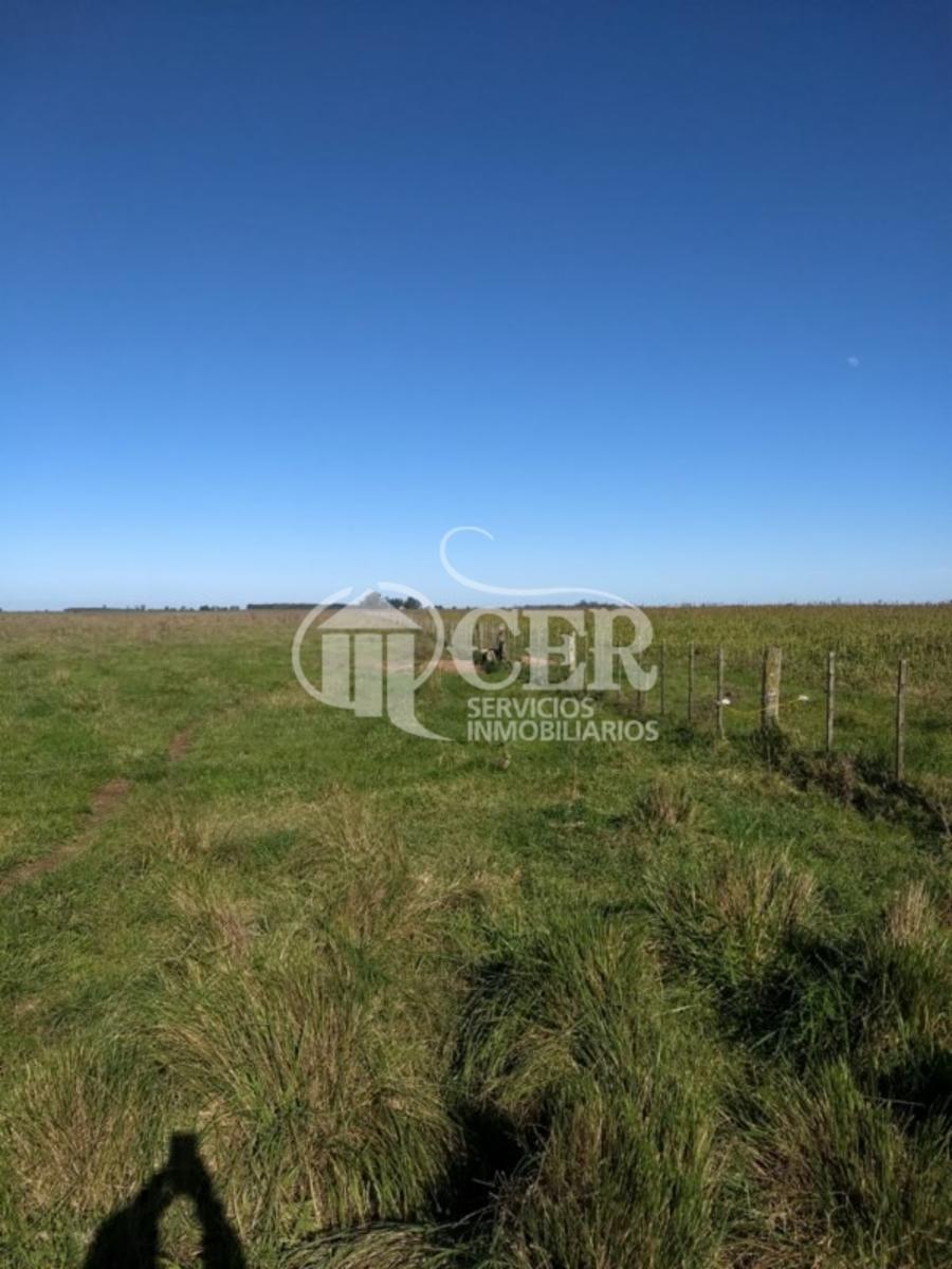1.000 HECTÁREAS AGRÍCOLA-GANADERO AYA CUCHO - 9