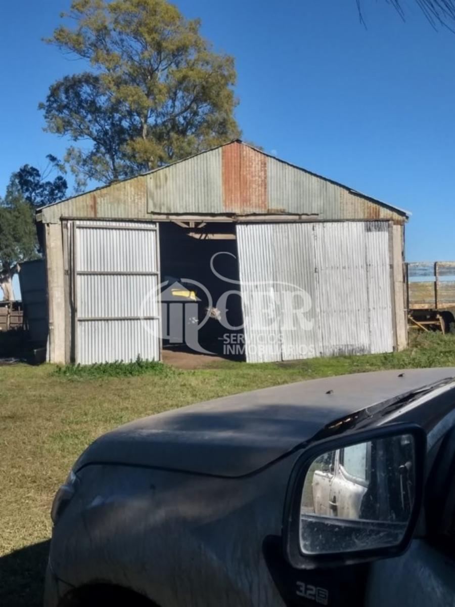 1.000 HECTÁREAS AGRÍCOLA-GANADERO AYA CUCHO - 10