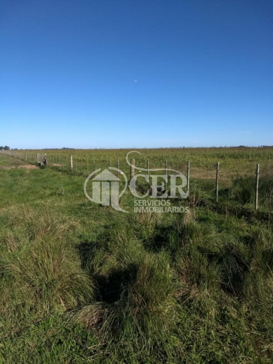 1.000 HECTÁREAS AGRÍCOLA-GANADERO AYA CUCHO - 11