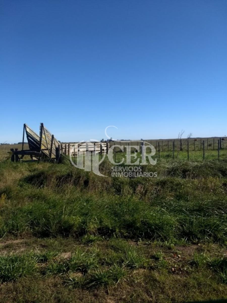 1.000 HECTÁREAS AGRÍCOLA-GANADERO AYA CUCHO - 12