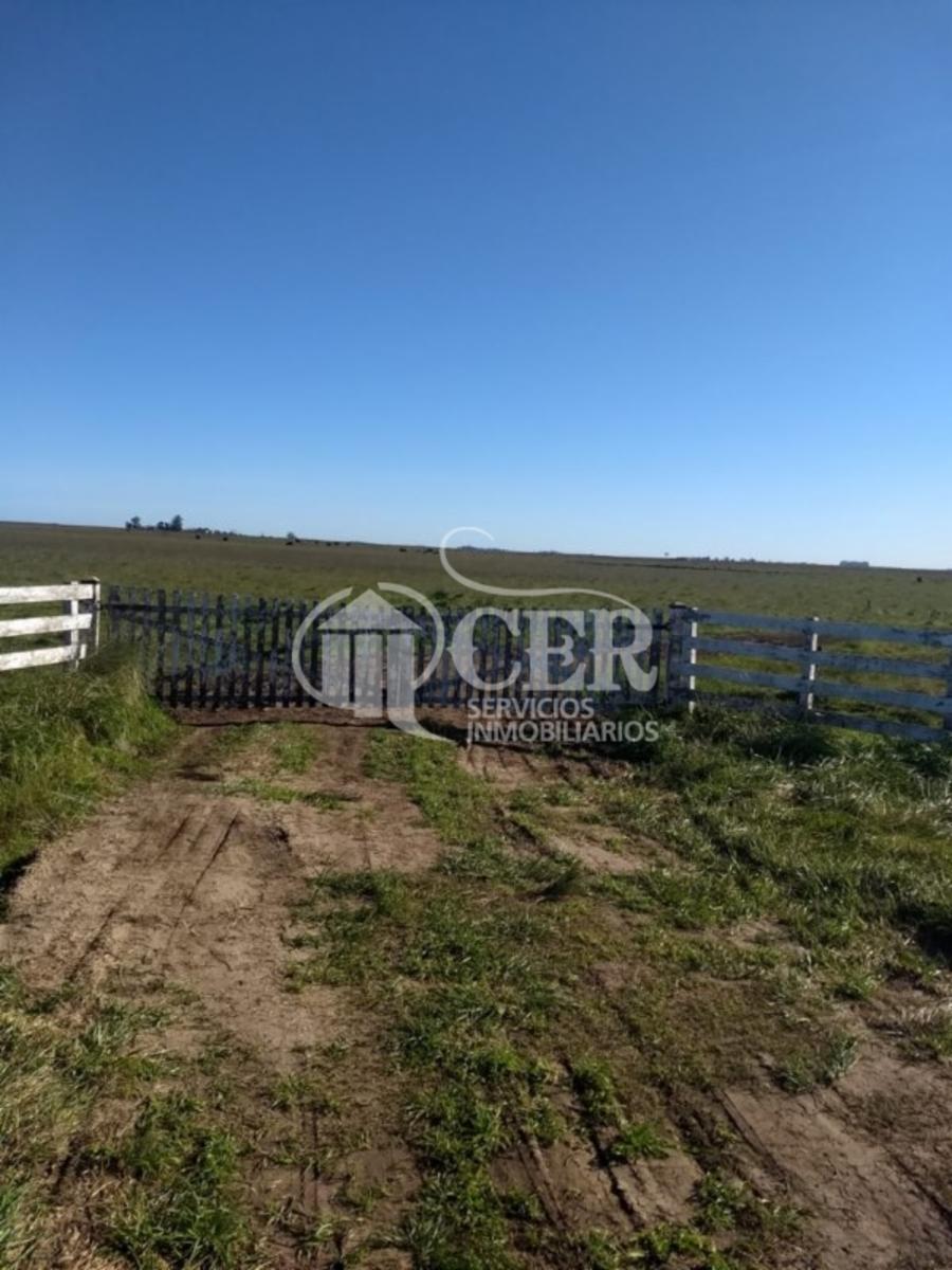 1.000 HECTÁREAS AGRÍCOLA-GANADERO AYA CUCHO - 14