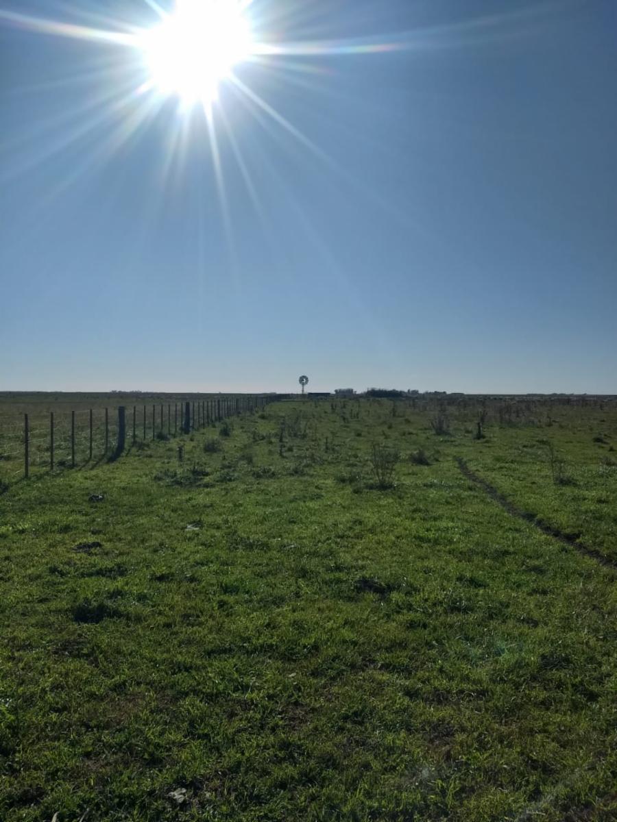 1.000 HECTÁREAS AGRÍCOLA-GANADERO AYA CUCHO - 16